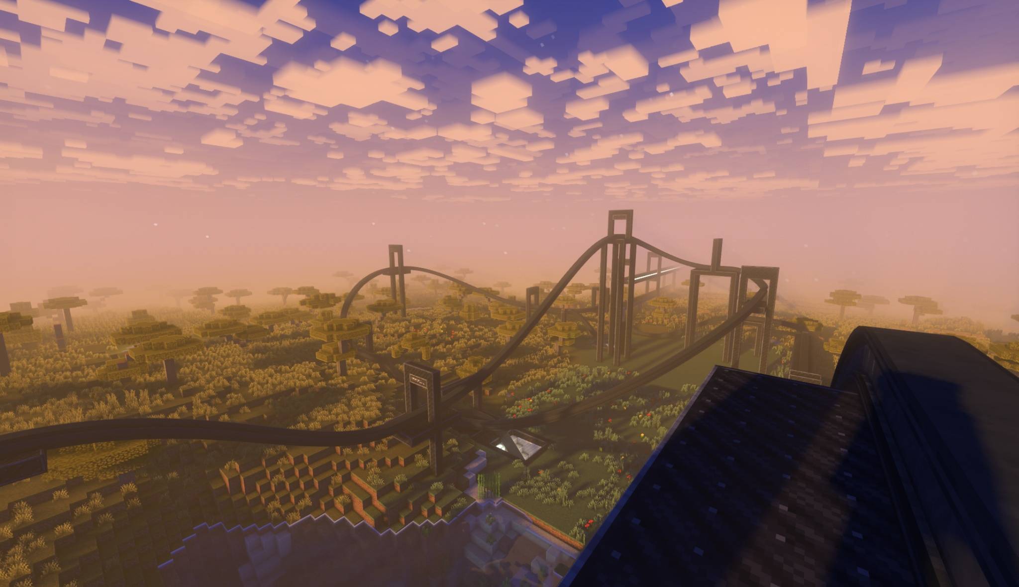 Roller coaster