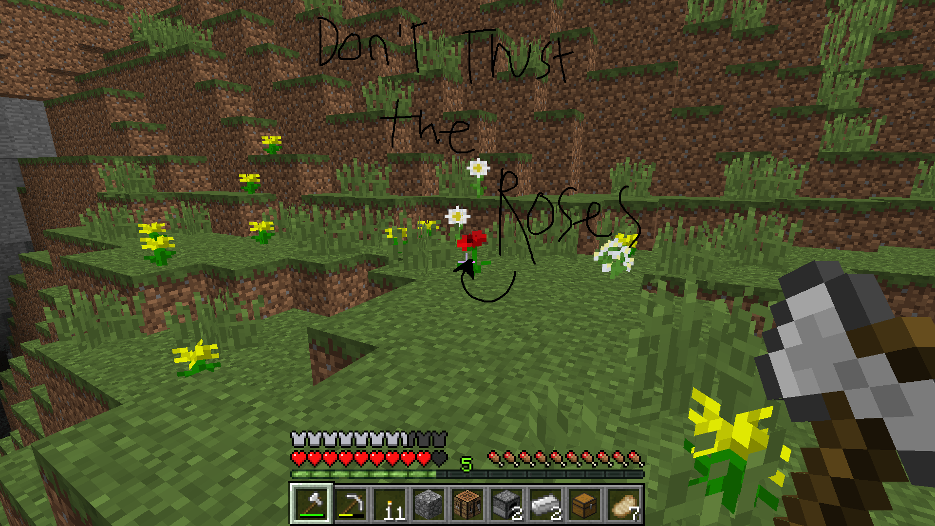 Thumbnail dont trust them