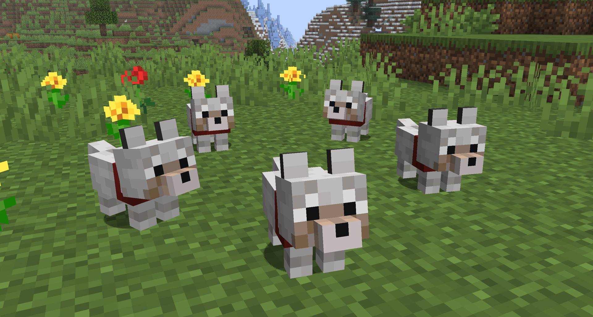 Baby Wolves