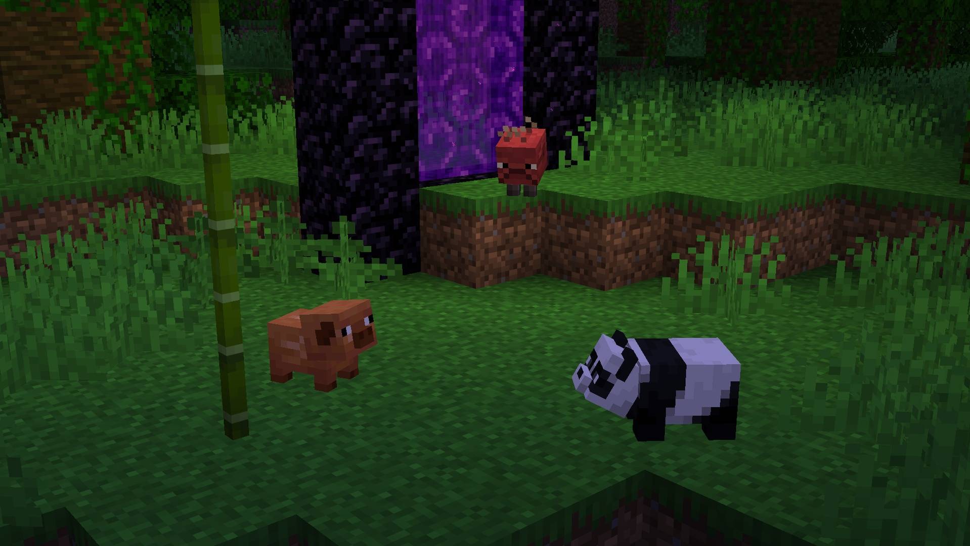 Baby panda is too bamboo-pilled to not notice the warm-coded piglet, while both are being outmogged by the baby Strider