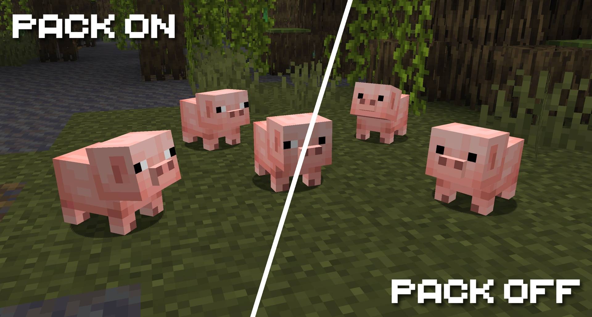 A side by side comparison showing baby pigs with and without the pack
