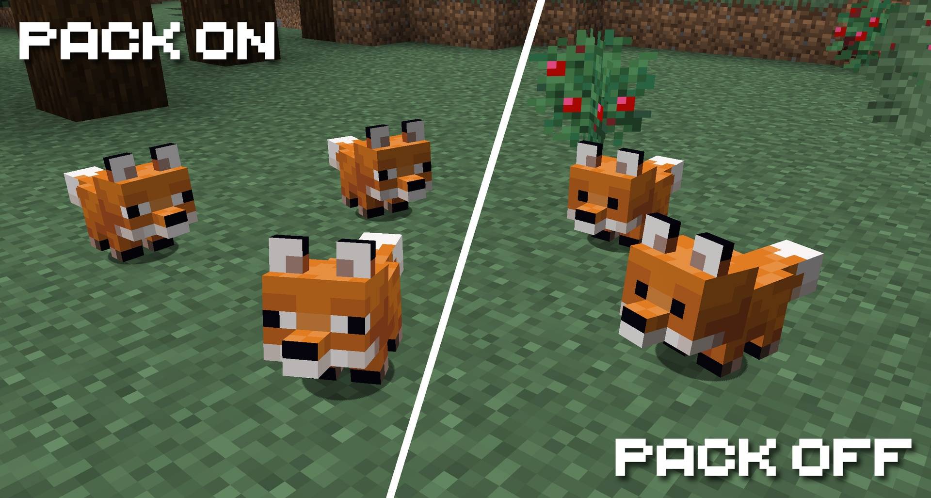 A side by side comparison showing baby foxes with and without the pack