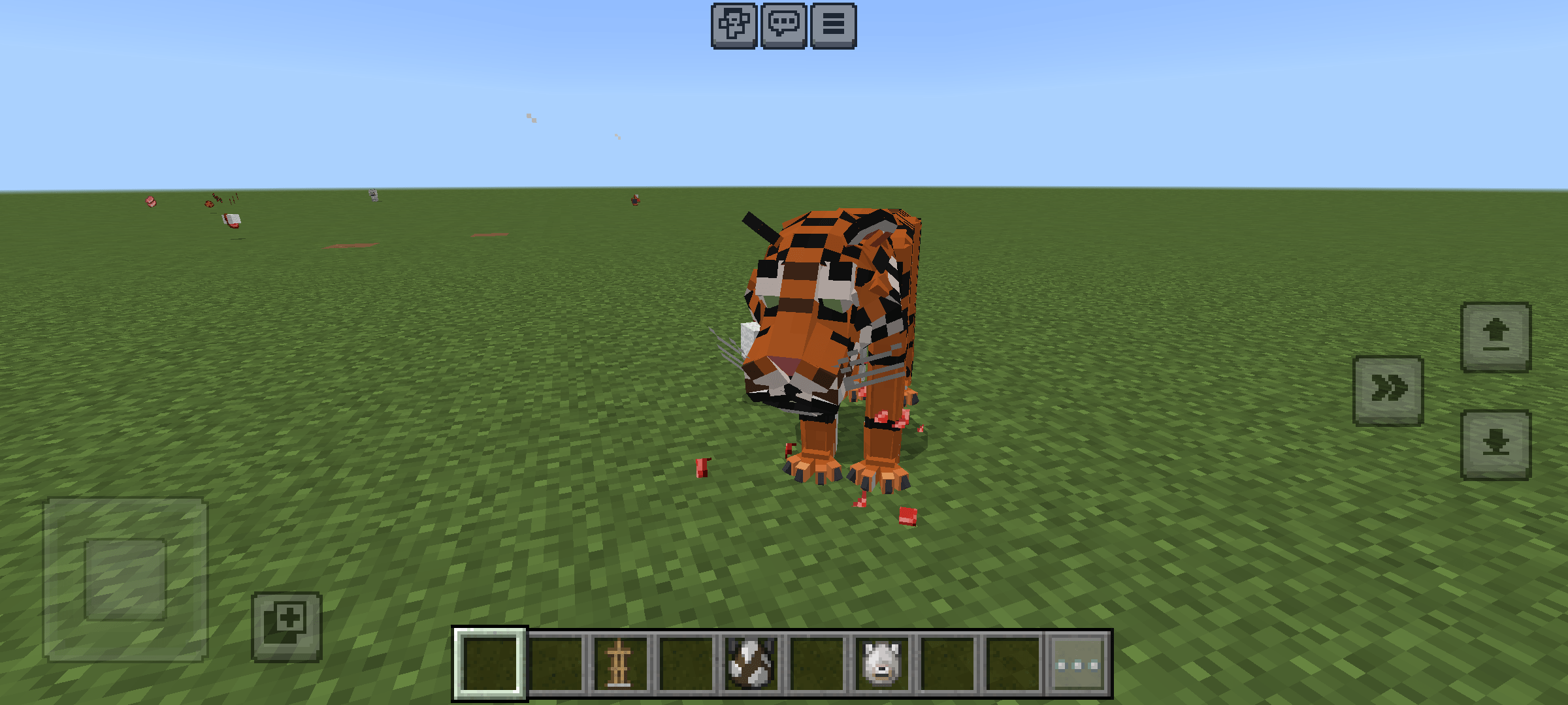 Panthera tigris