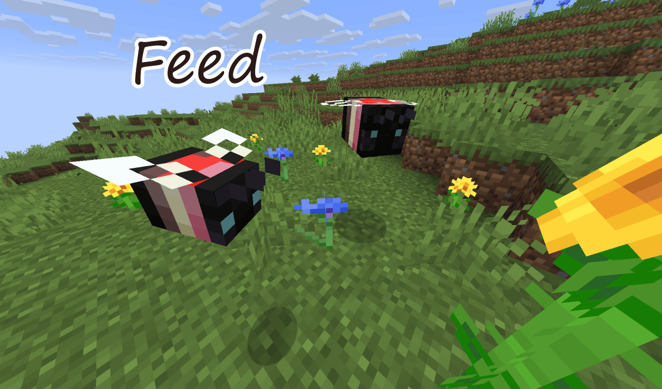 Thumbnail Feed.png