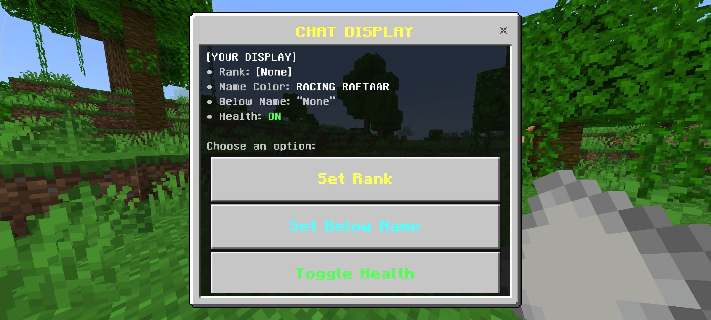 CHAT DISPLAY.mcpack (4).jpg