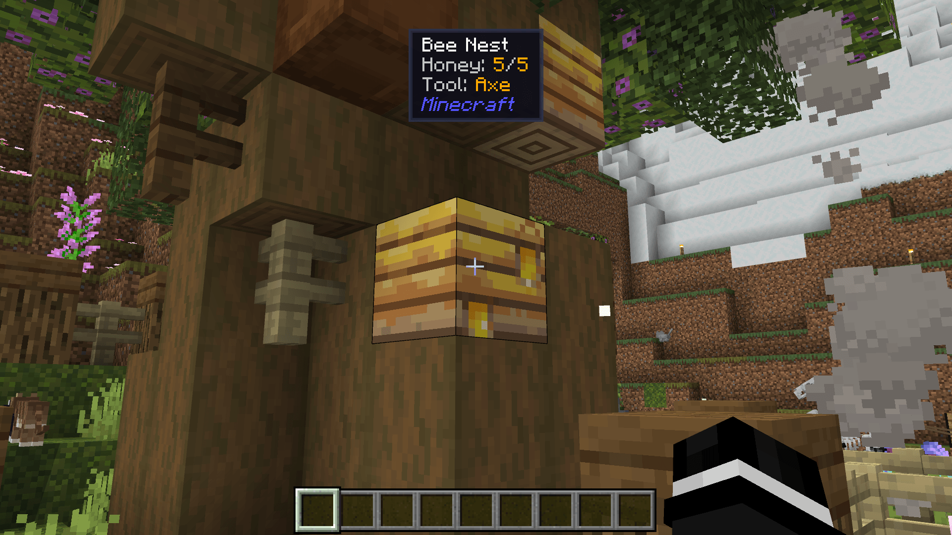 Honey Level & More