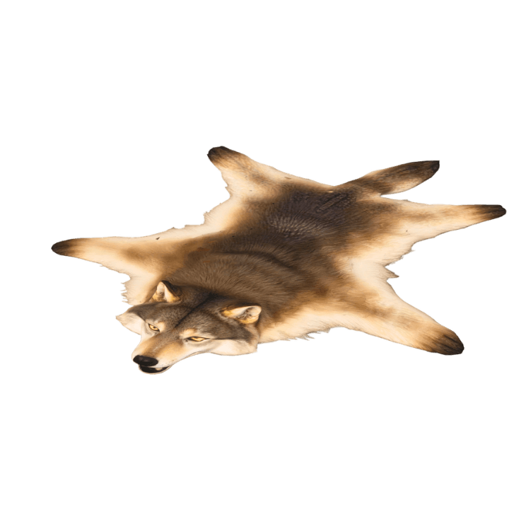 2803 new object (1).png