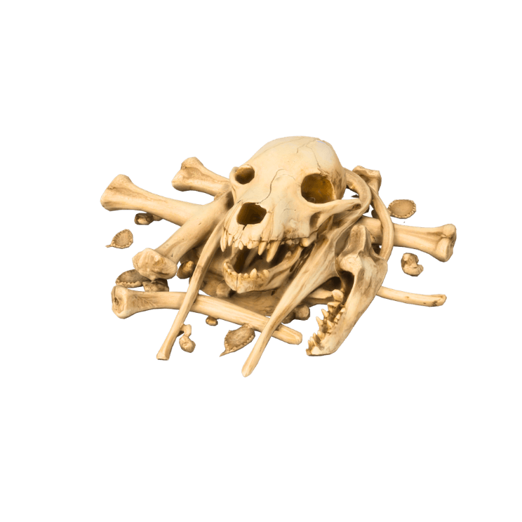 2803 new object (2).png