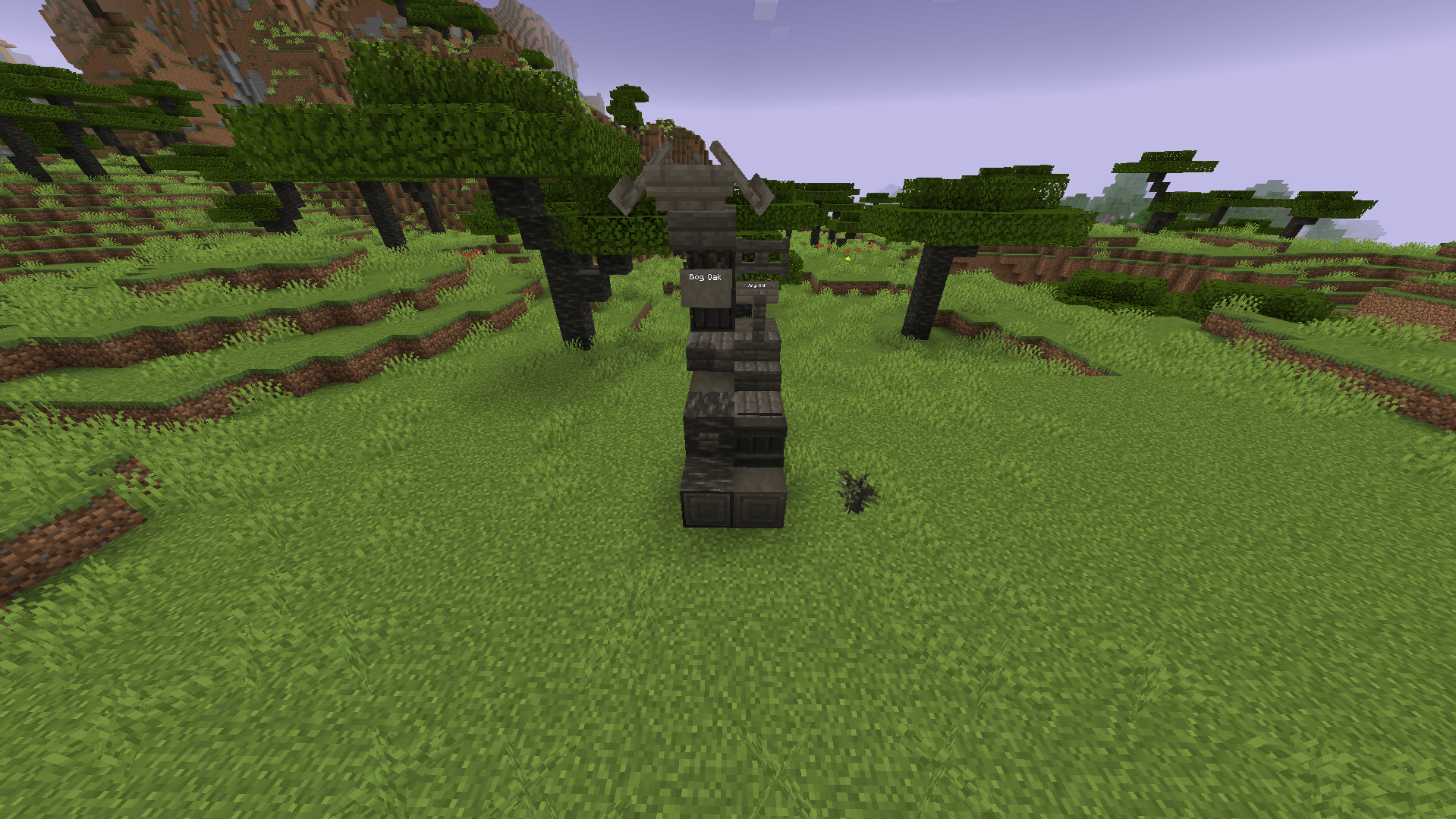 Bog Oak
