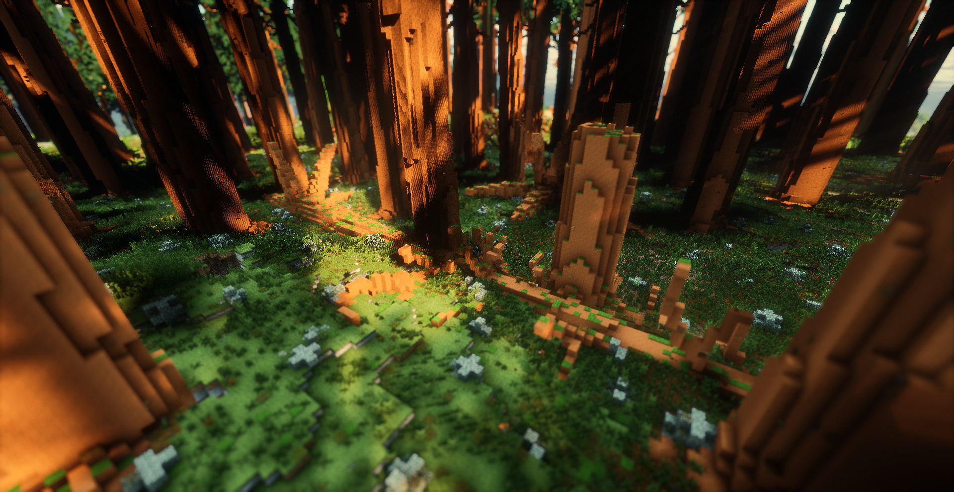 Thumbnail The forests look more vibrant with fallen dead trees