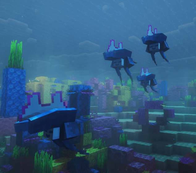 A fleet of Siphosail in a coral reef