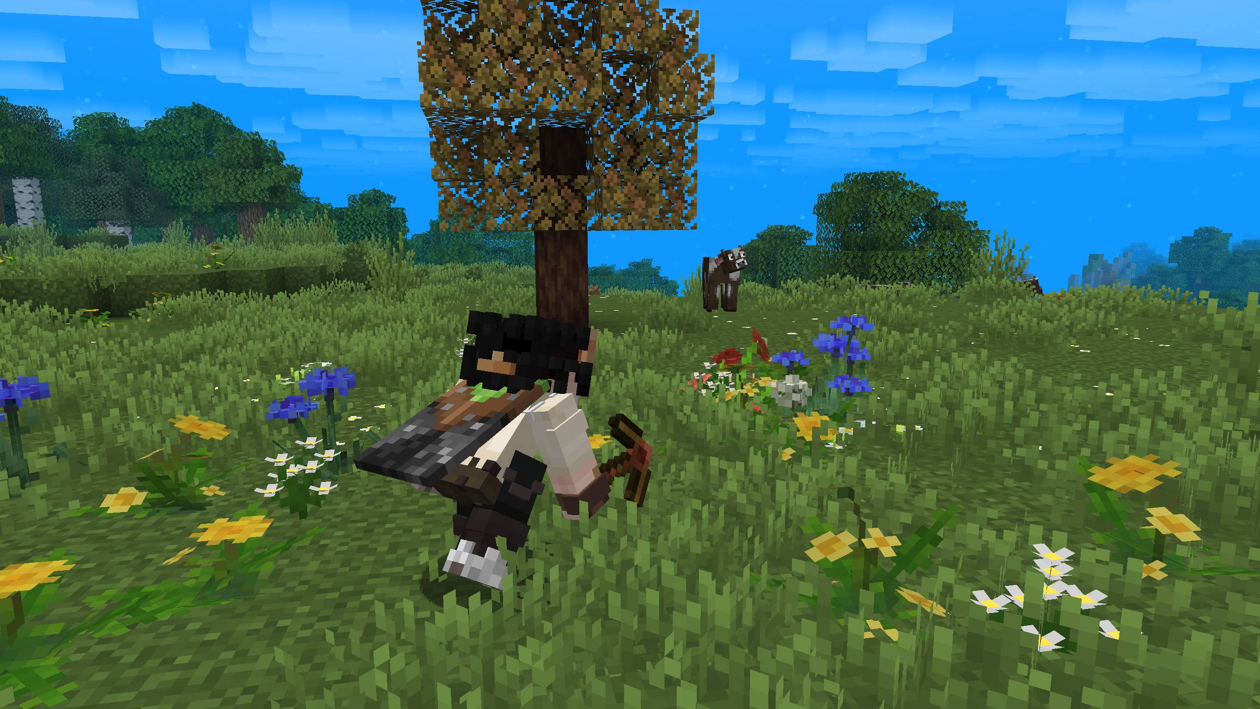 Modern animations