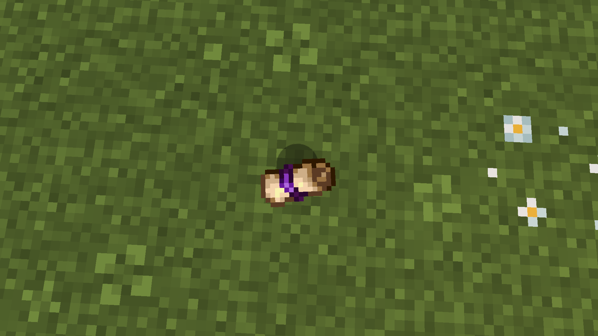 scroll.png