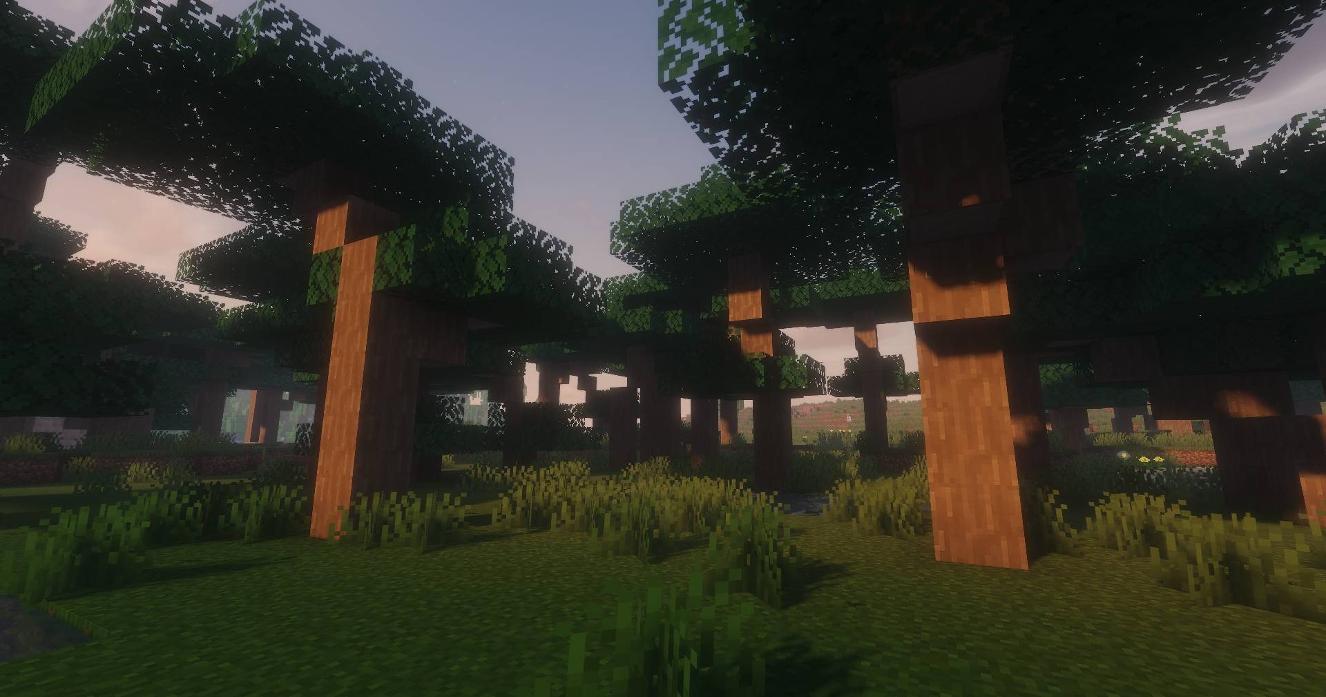 Balsa Forest scenery