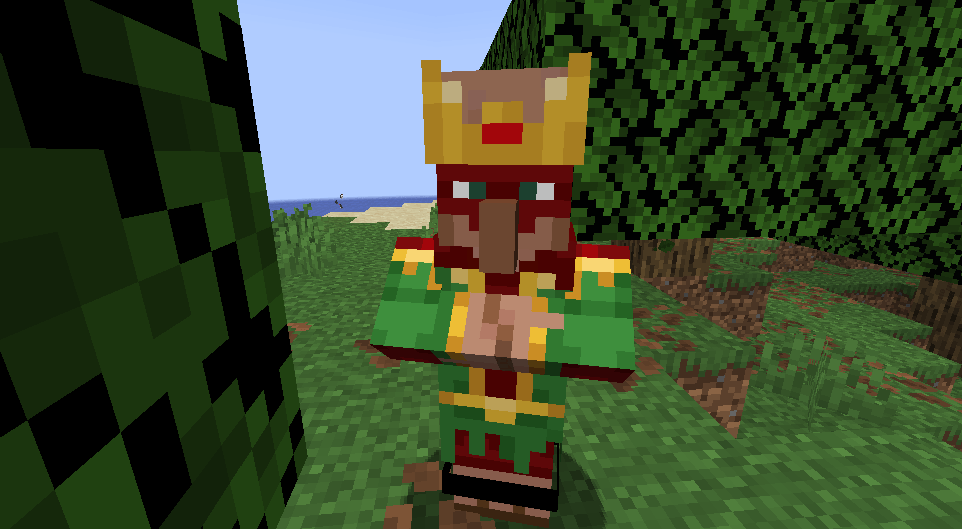 king villager