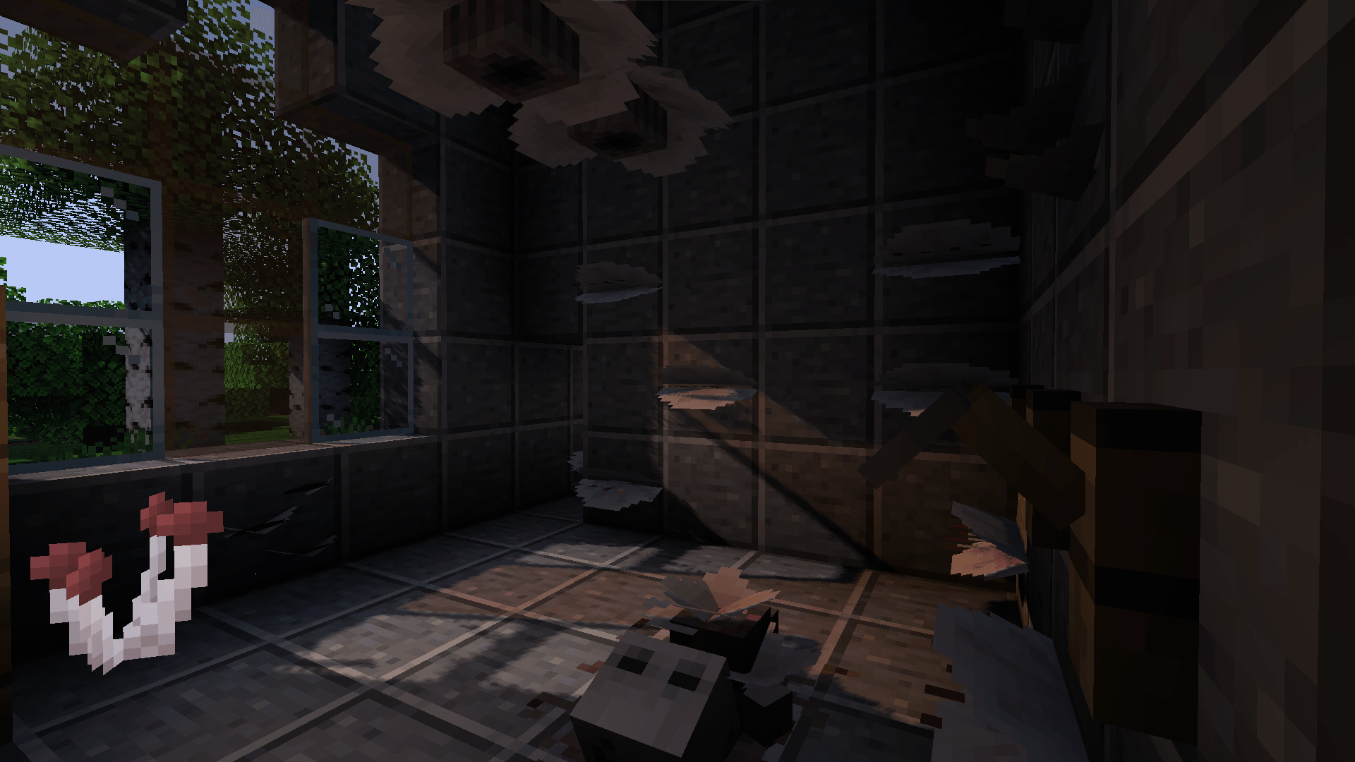 image323232232.png