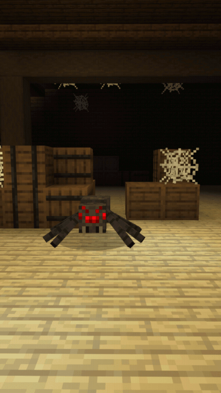 Baby Spider