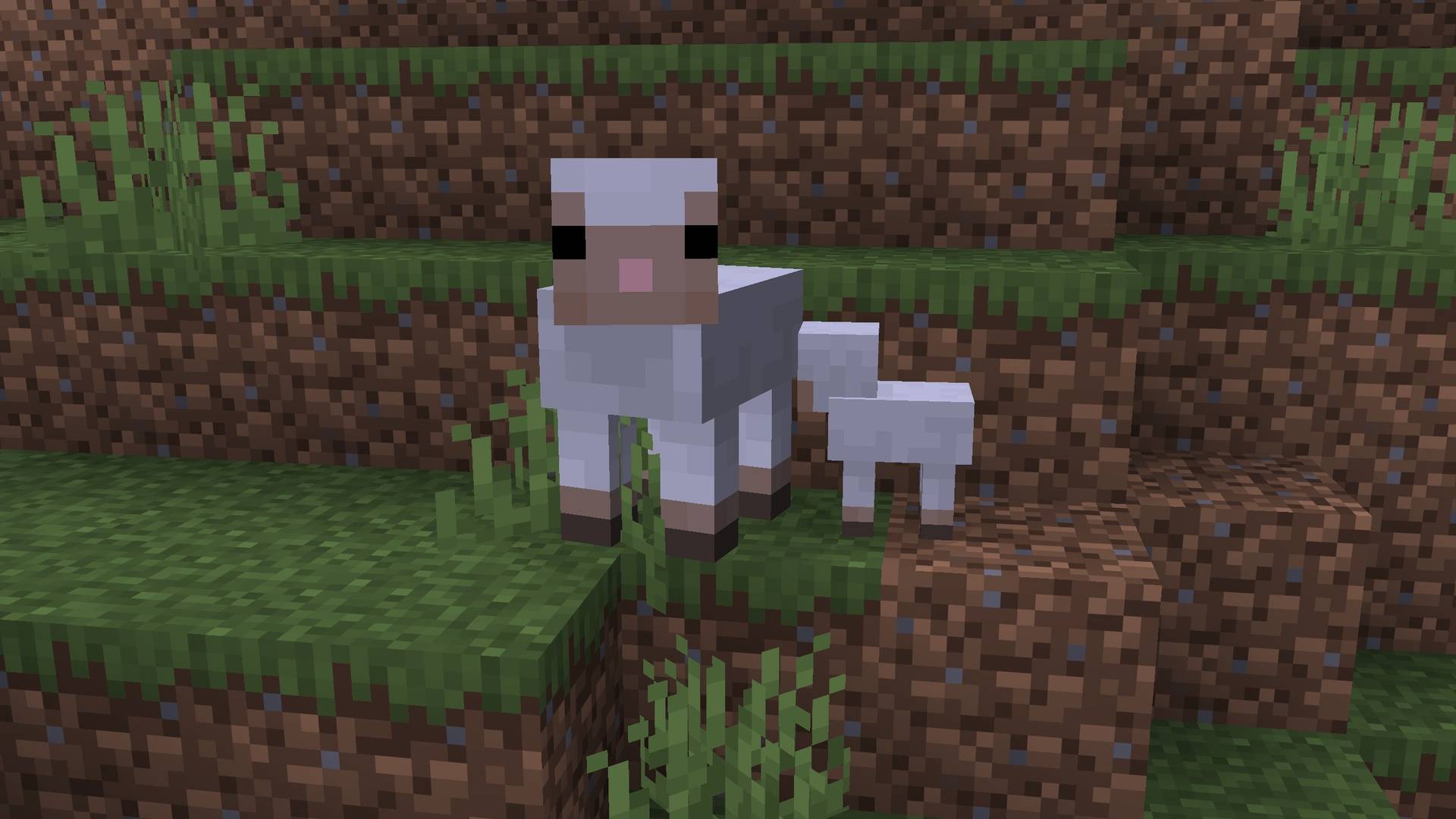 Thumbnail Sheep with consistent textures between adult and baby