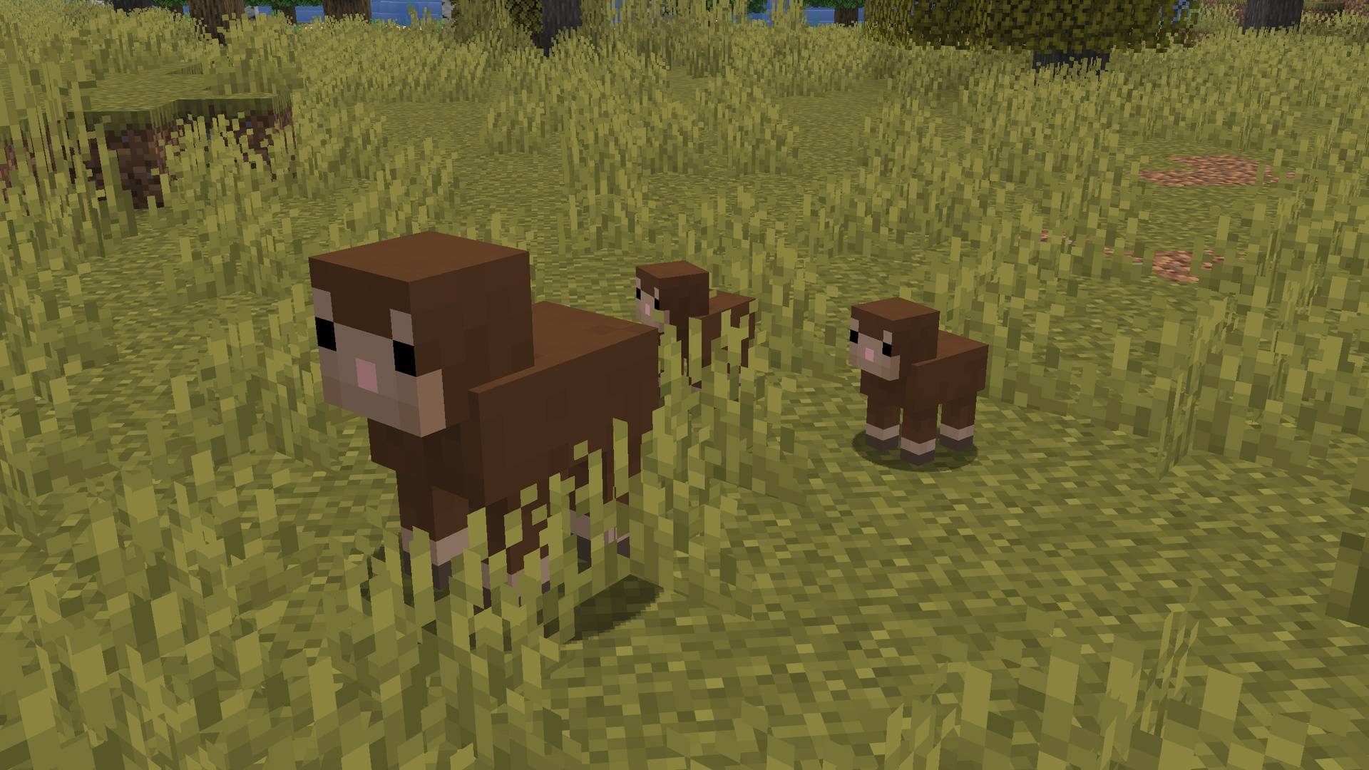 Thumbnail Brown sheep with consistent textures between adult and baby