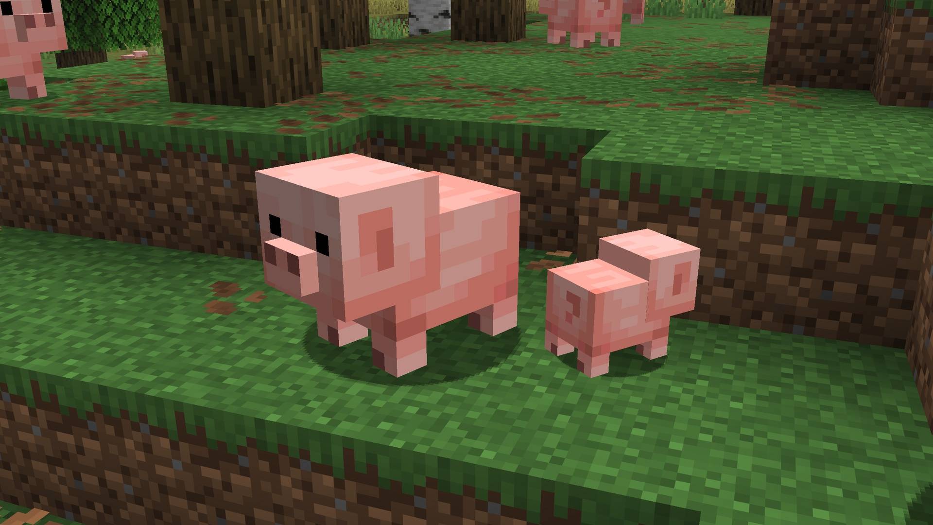 Thumbnail Pigs with consistent textures between adult and baby