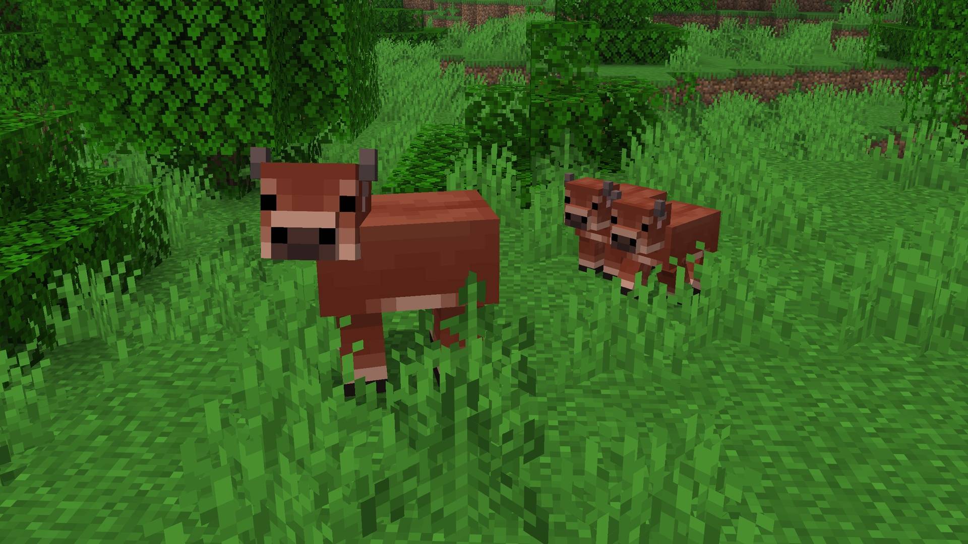 Thumbnail Cows with consistent textures between adult and baby