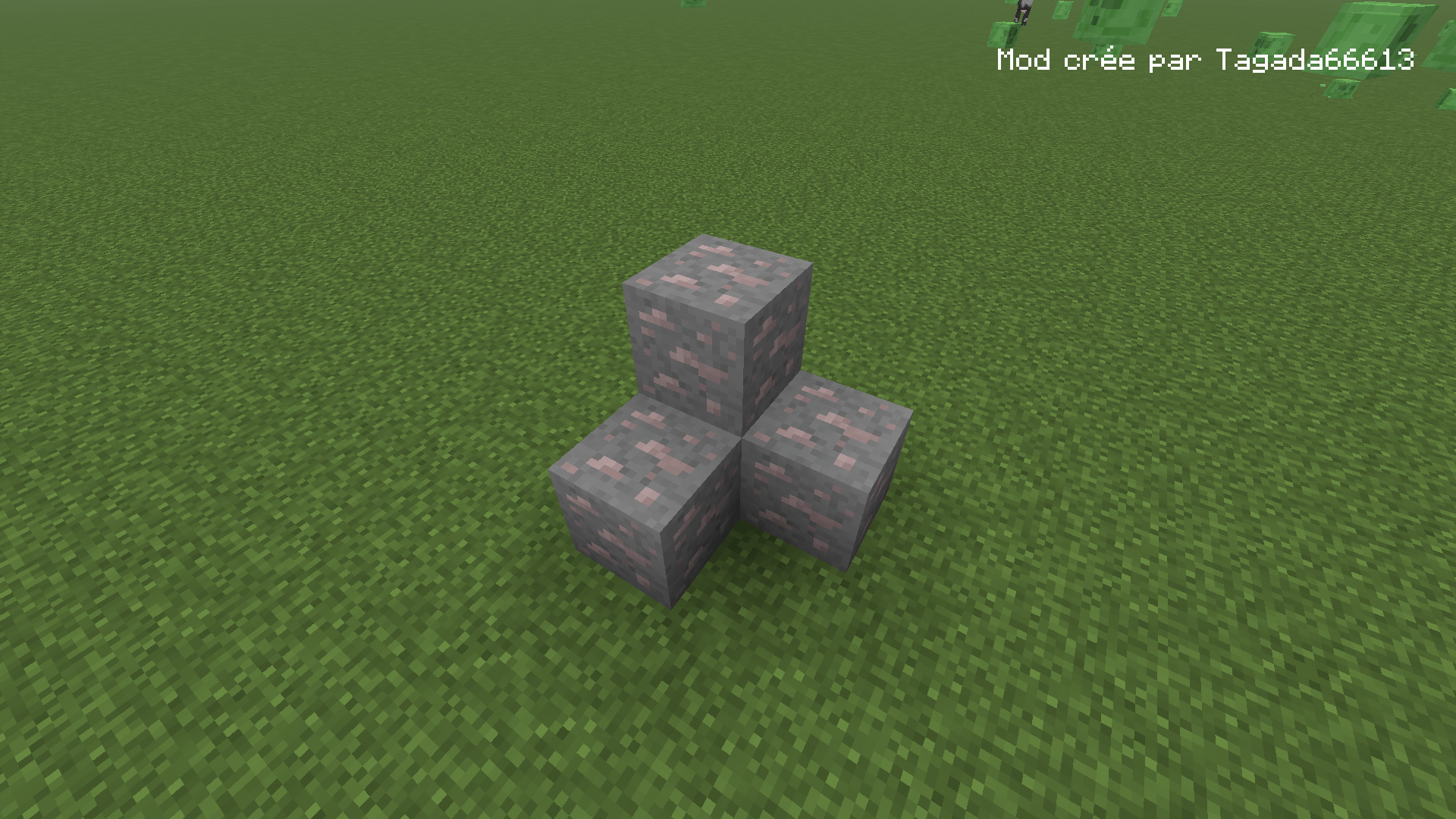 Didinite