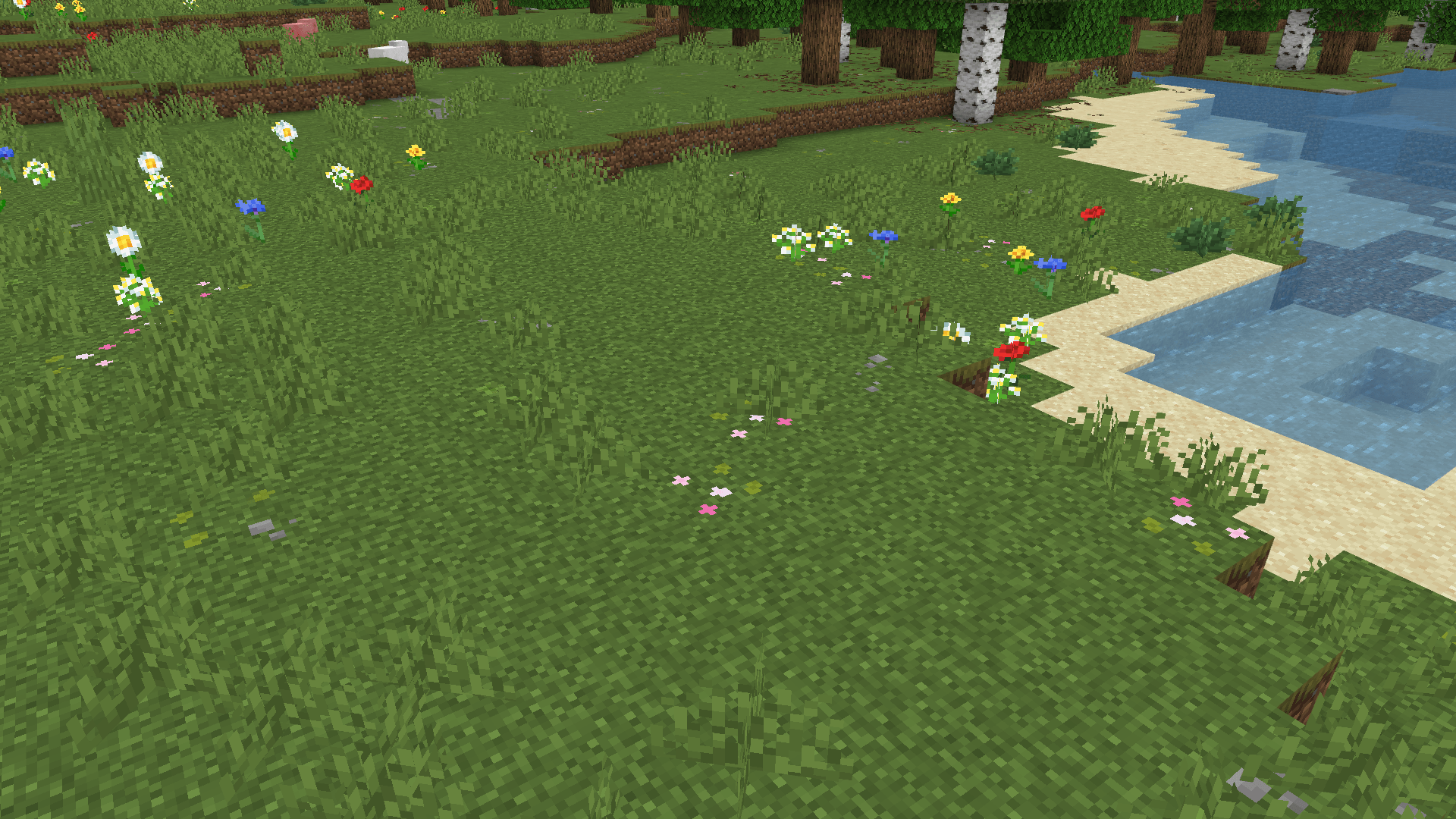 Plains