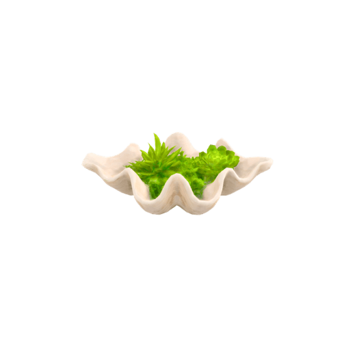 0404 new object (2).png