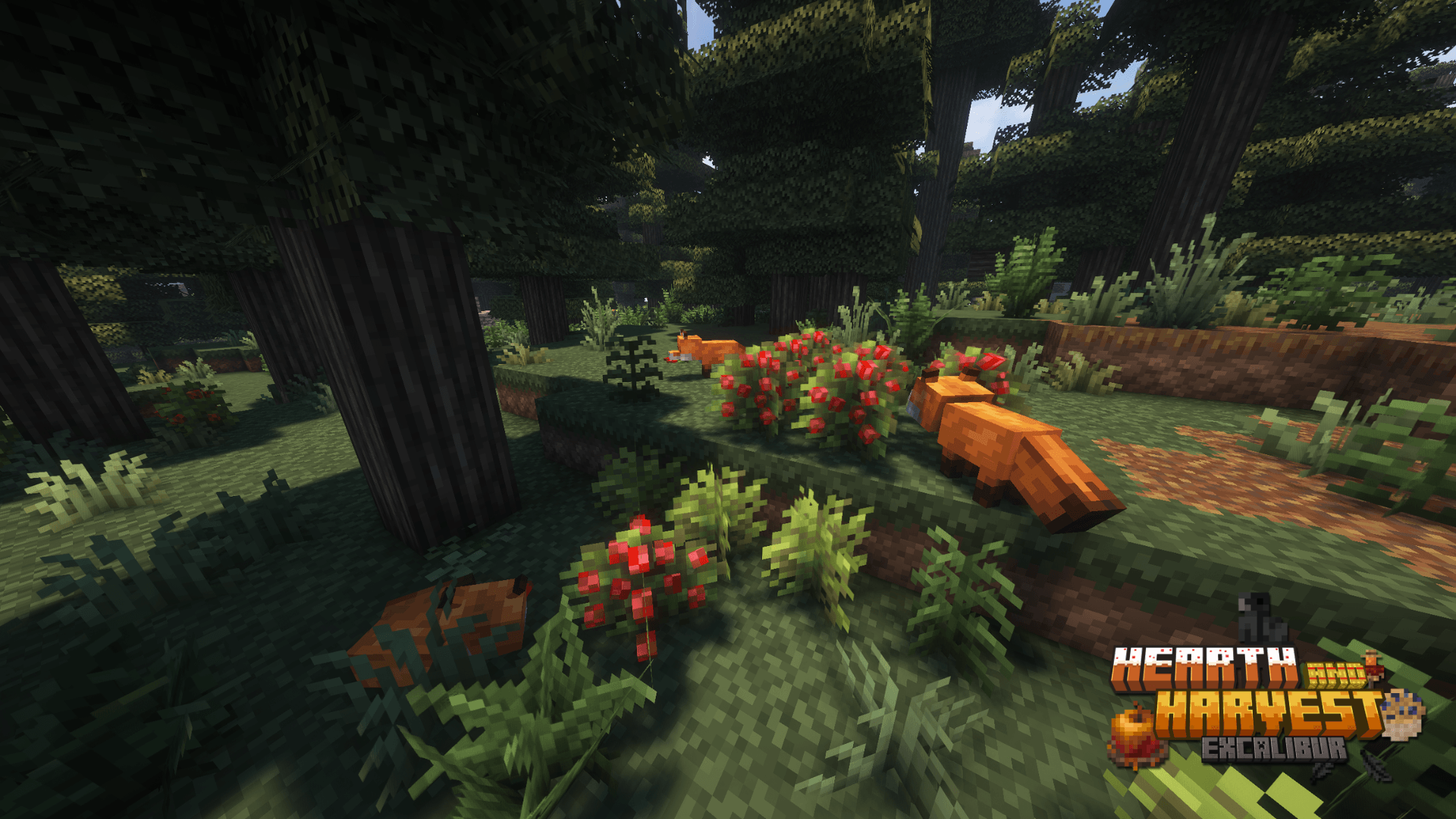 3D Berries