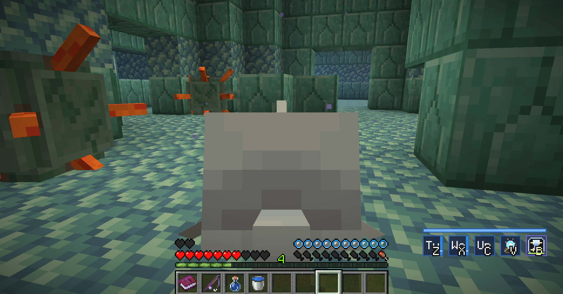A water player shapeshifted as a dolphin, the guardians and water players are friends and so they will not attack the player
