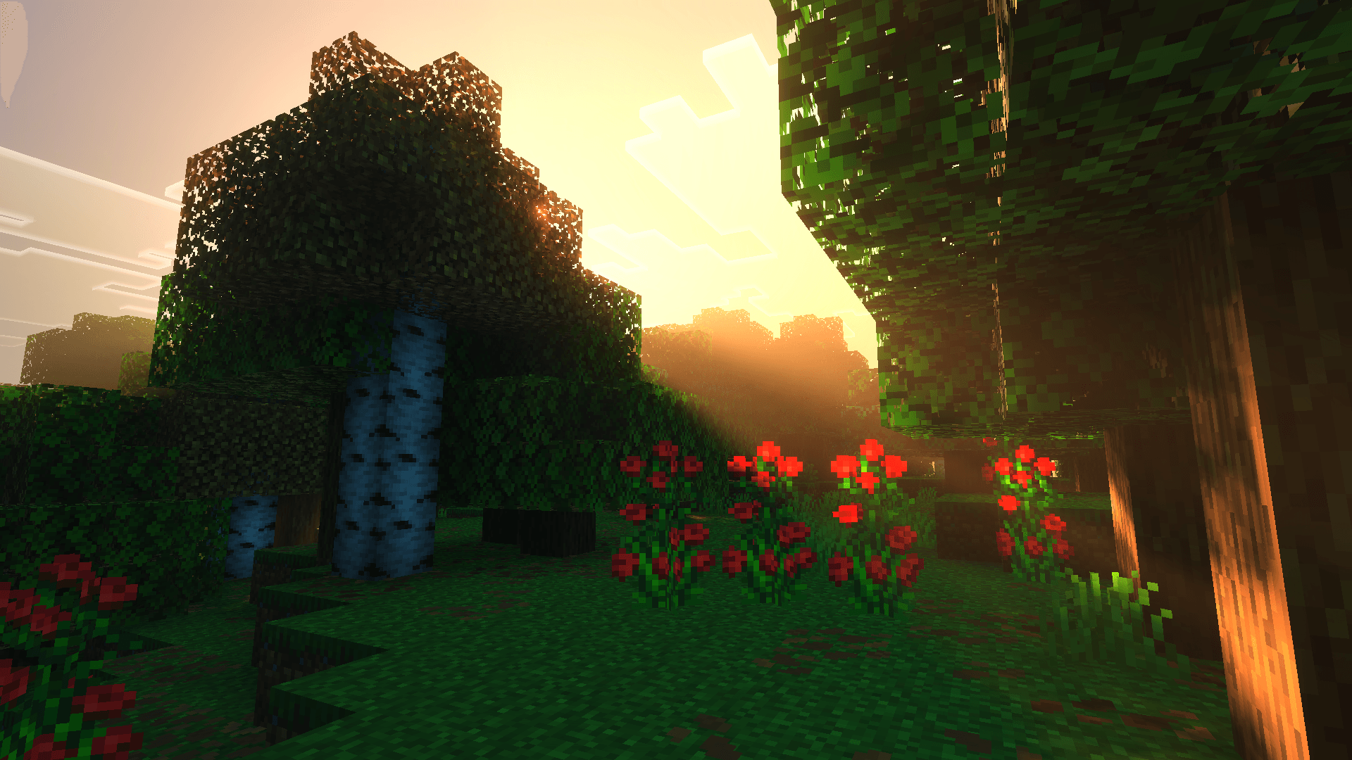 Screenshot (534).png
