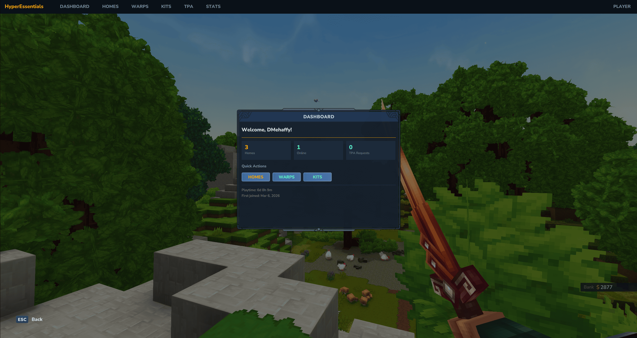 player-dashboard.png