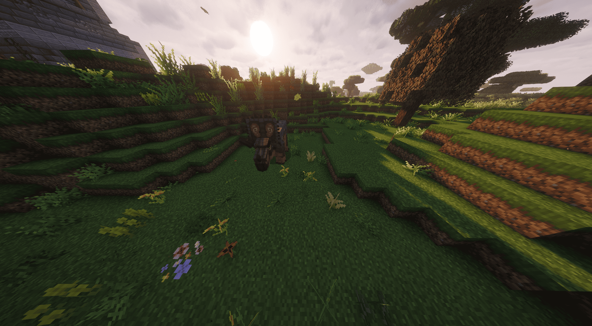 Thumbnail 01 (7).png