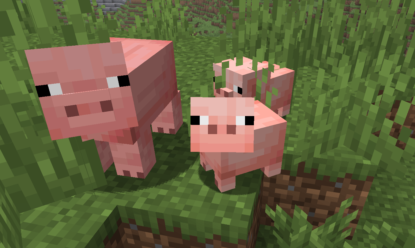 A Pig Family