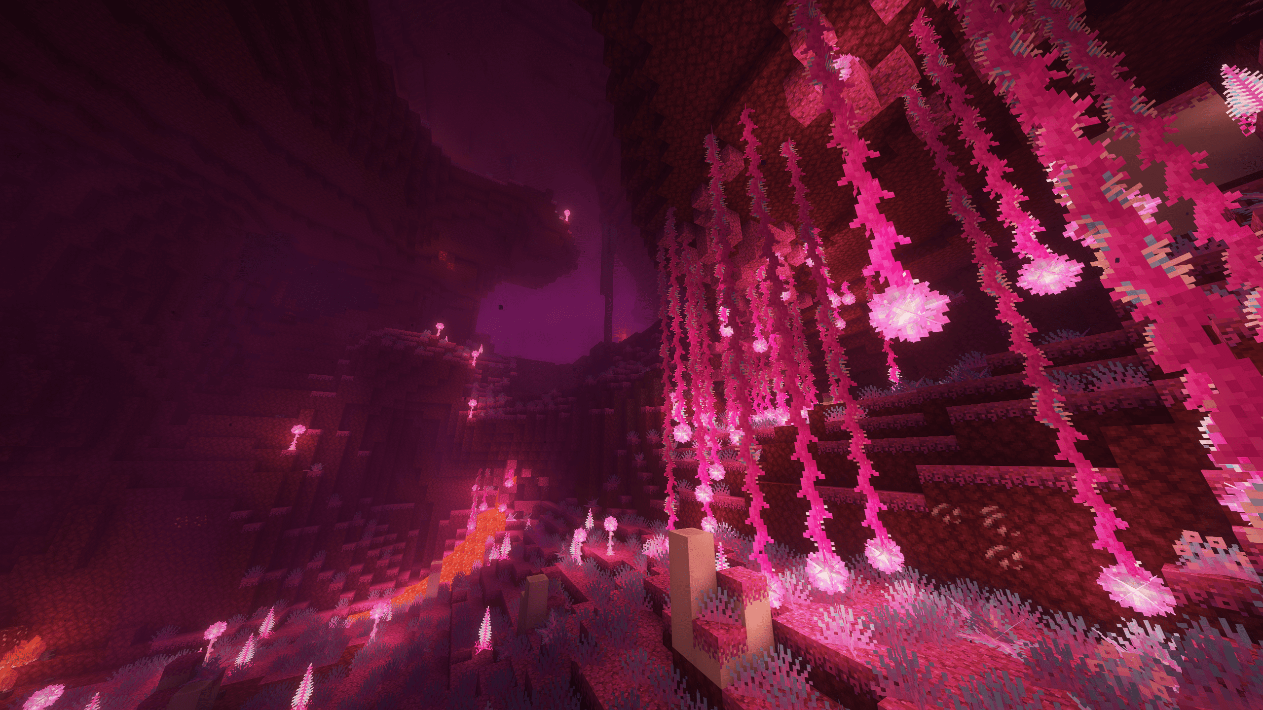 new biomes in the Nether