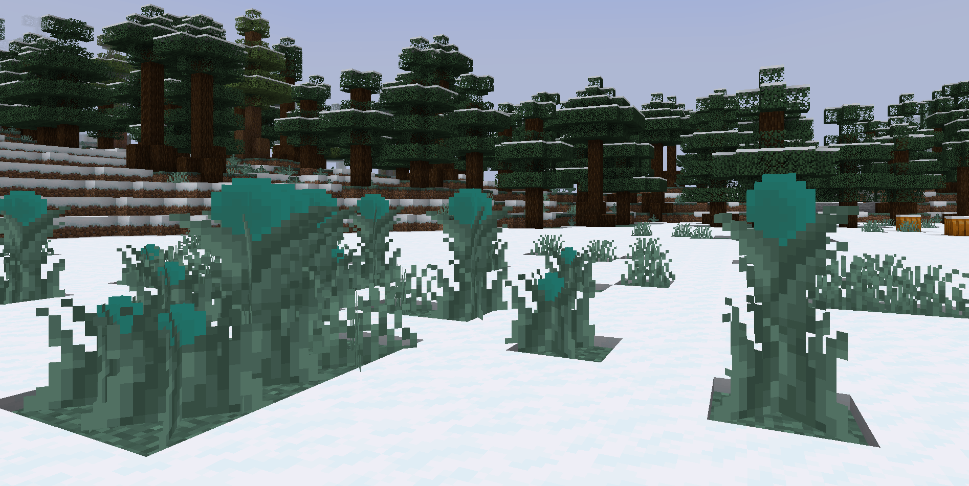 grassy_flowers.png