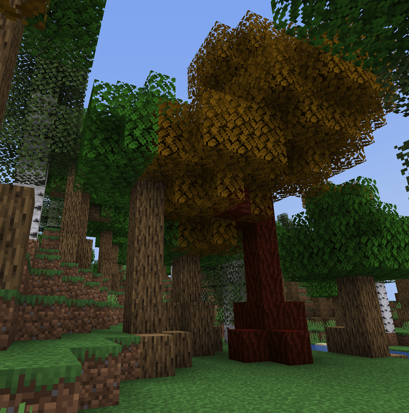 forest_2.png