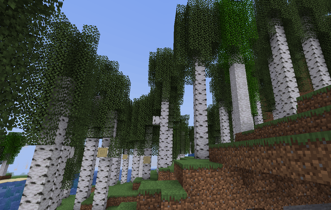 old_growth_birch_forest.png