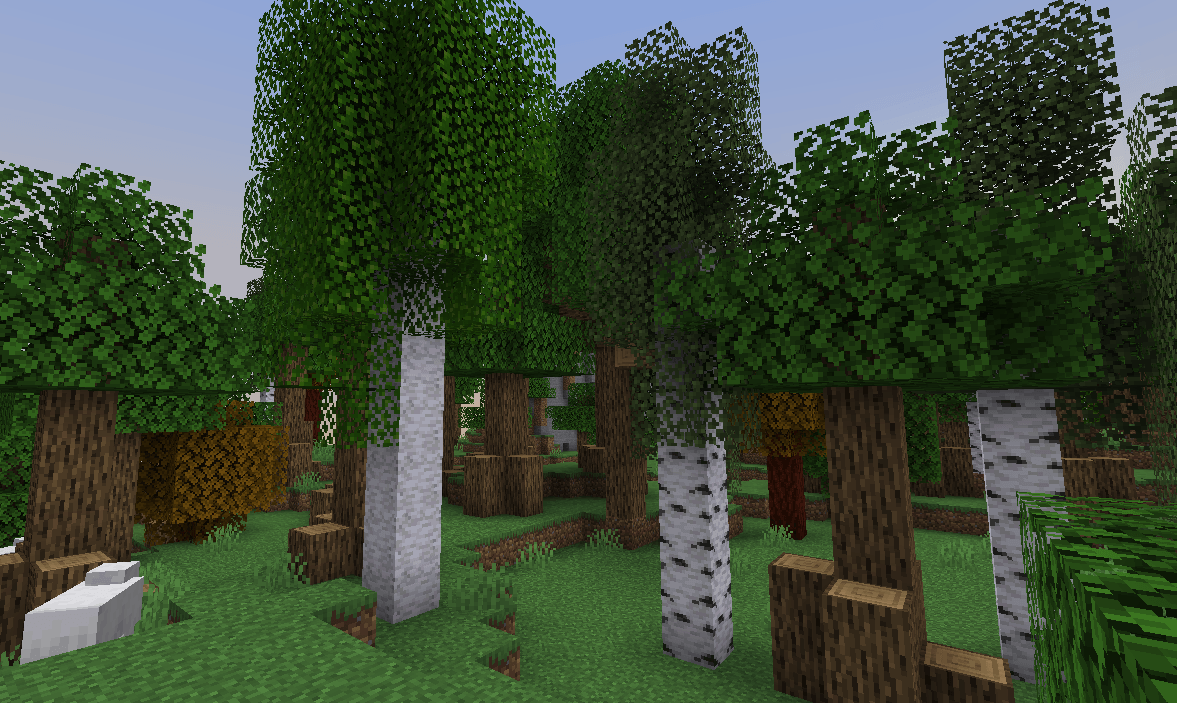 forest.png
