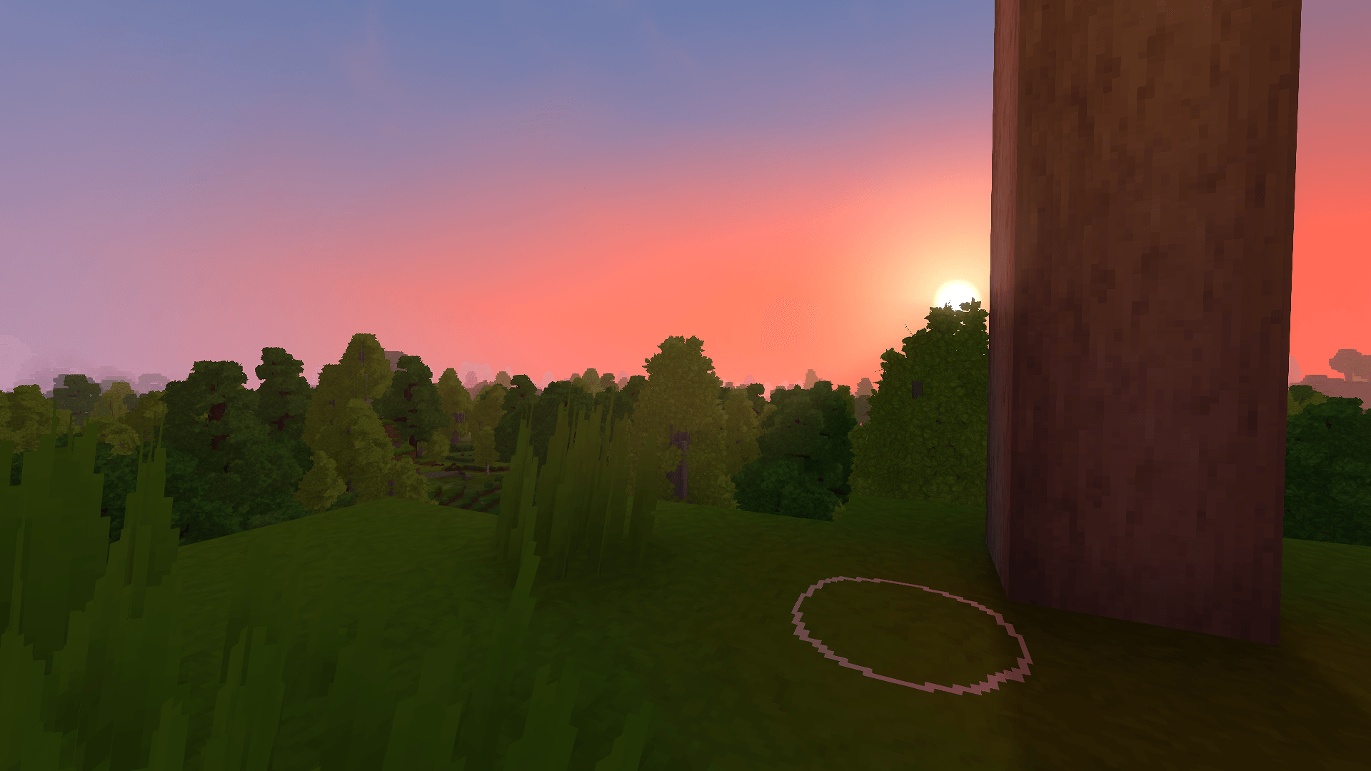 during sunset