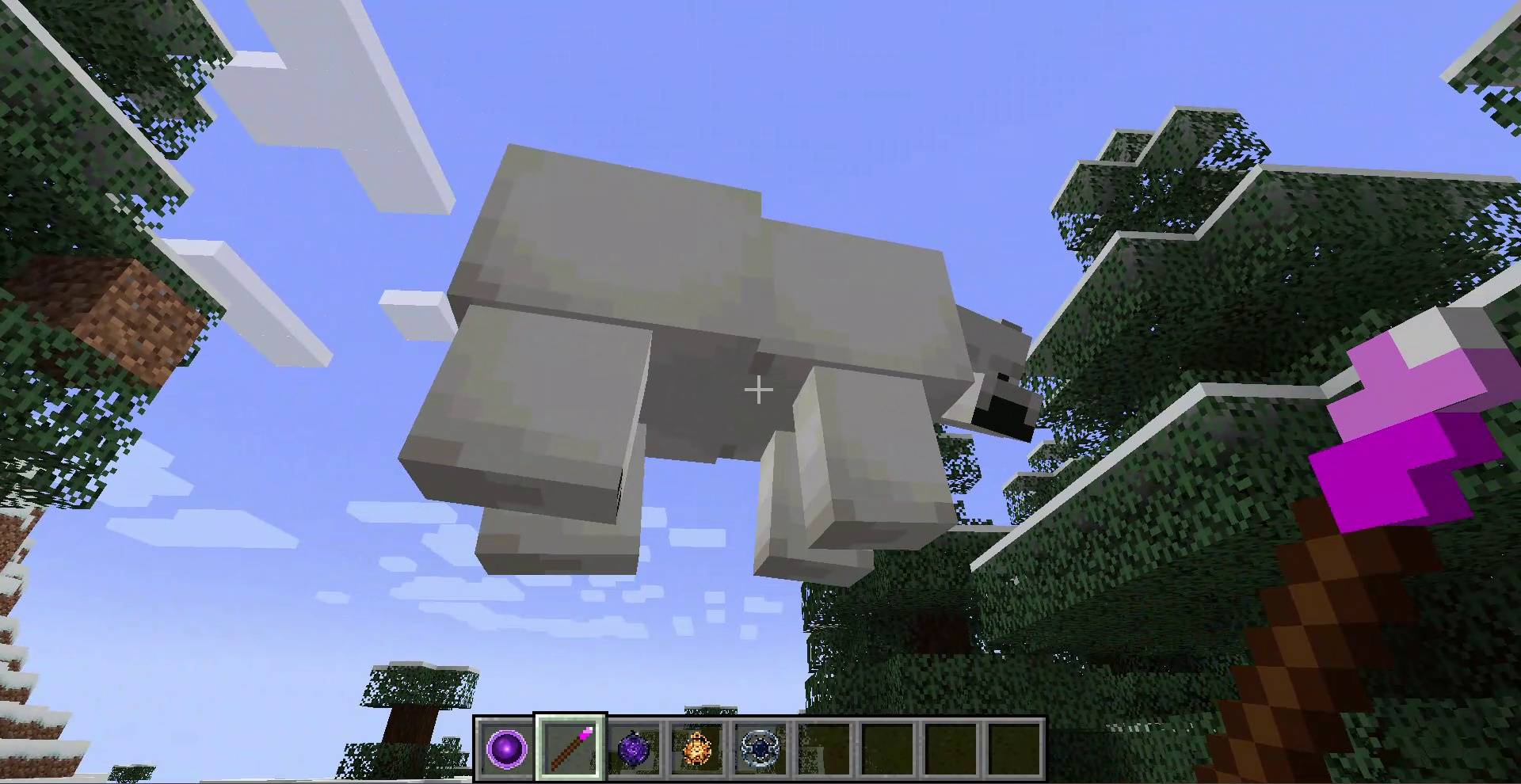 polar_bear_033.jpg