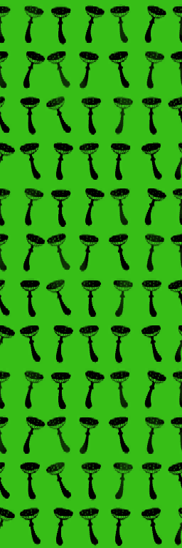 mushrooms short 2.png