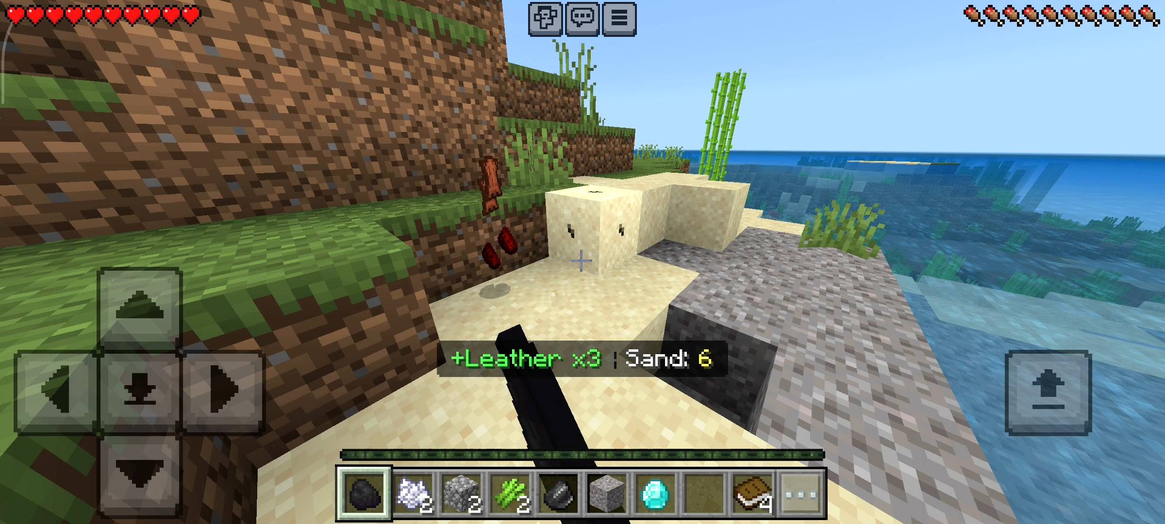 Sand Surprises (3).jpg