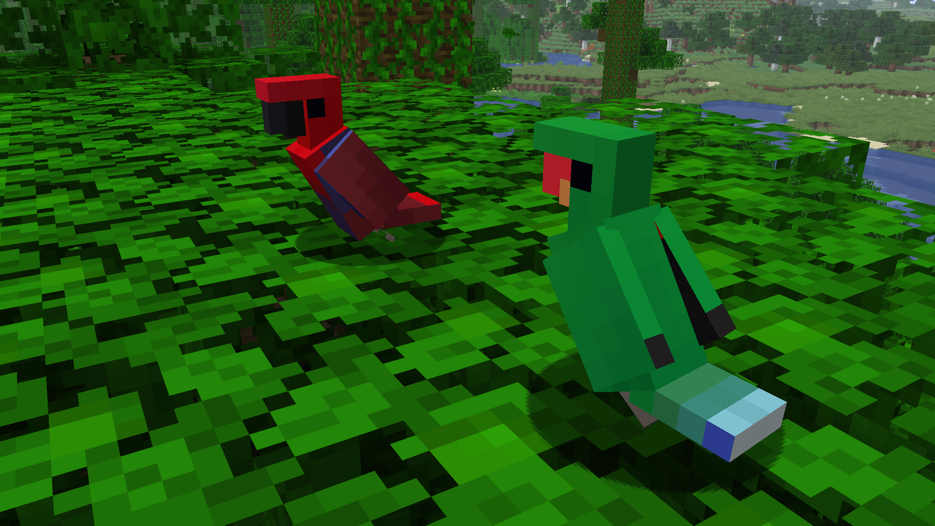 A pair of Electus parrots. Oddly, the female eclectus stands out in the red whereas the male is more camouflaged with the green.