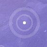 Thumbnail {7DF02A70-D942-486B-B269-7D1D58C65CC1}.png