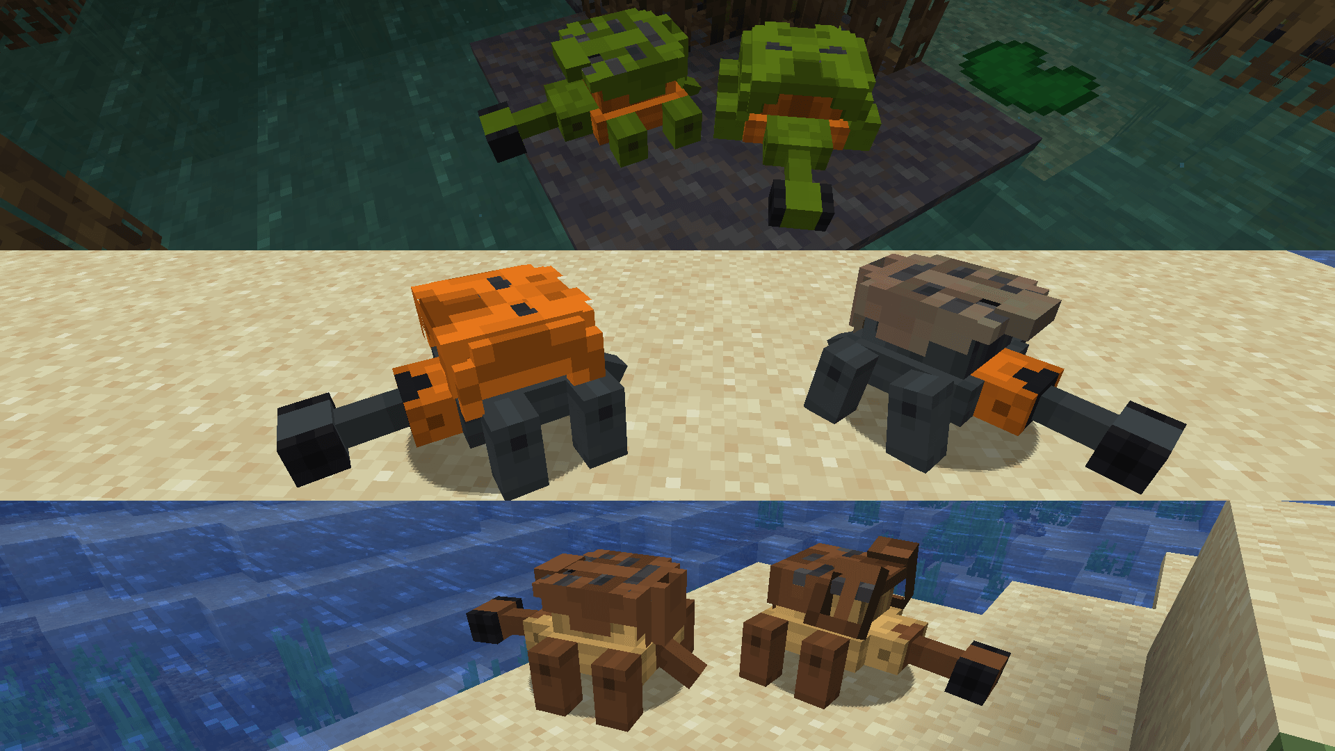 Thumbnail Shore Turtles.png