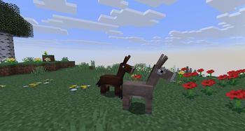 screenshot thumbnail