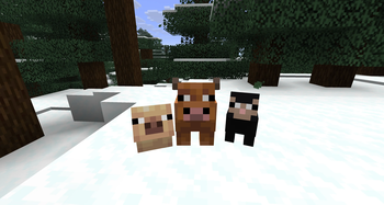 screenshot thumbnail