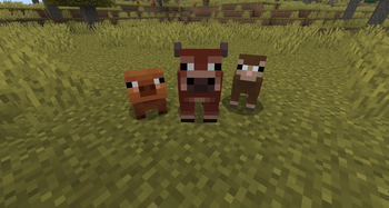 screenshot thumbnail