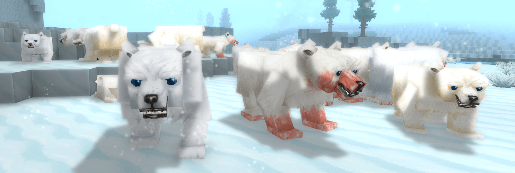 Polar Bears